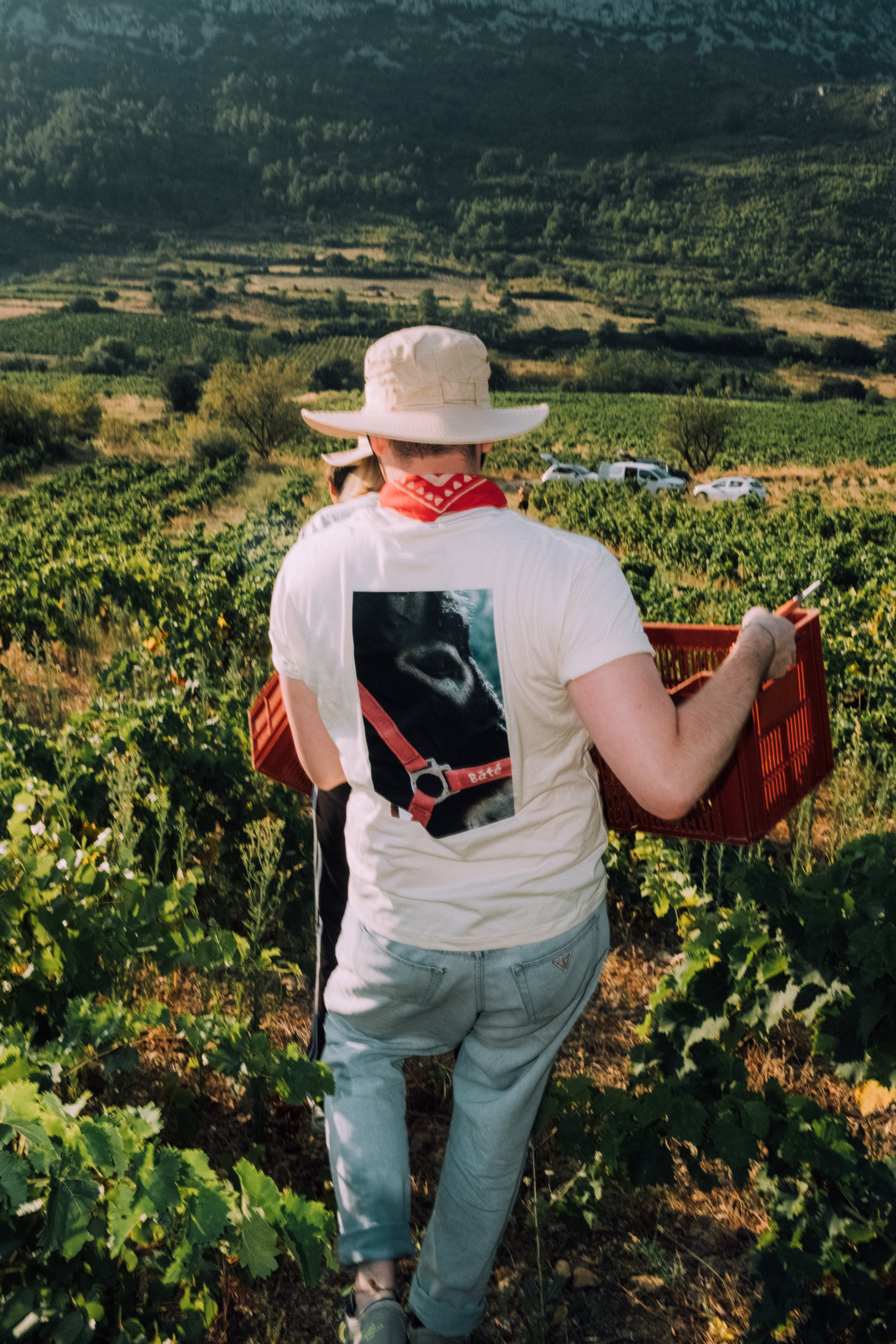 Le Roussillon : 3 000 ans d’histoire pour des vins uniques