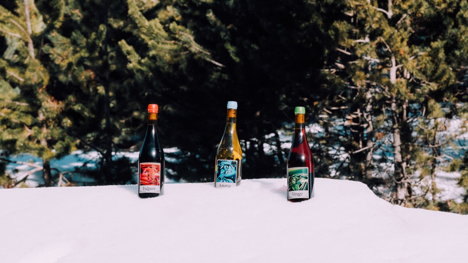 Température de service du vin : le guide complet pour mieux déguster