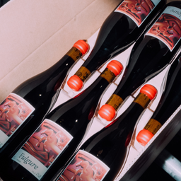 Fulgure 2025 carton 6